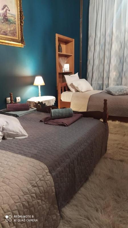 Elena'S Villa Chrysomilea Bagian luar foto